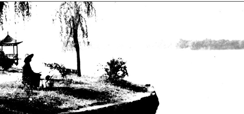 在彼此陌生的緯度里“相逢”