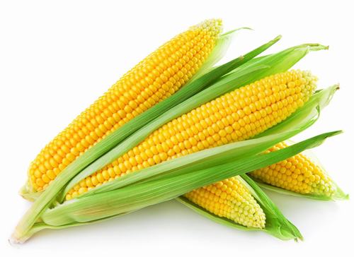 做《最棒的玉米》