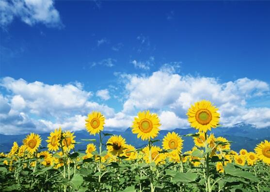 用責(zé)任點(diǎn)燃青春，以擔(dān)當(dāng)成就事業(yè)