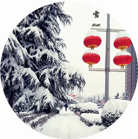 雪，寒冬里的溫柔
