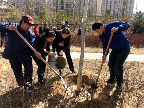 義務(wù)植樹展風采  我與神南共成長
