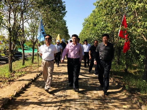 陜西省總工會黨組書記、主席白阿瑩一行蒞臨鄠邑區(qū)調(diào)研考察草堂寺健康養(yǎng)老示范項目