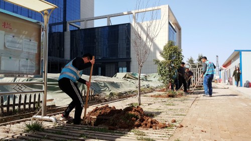 陜煤建設(shè)澄合分公司基層單位開(kāi)展“植樹(shù)護(hù)綠，美麗家園”義務(wù)植樹(shù)活動(dòng)