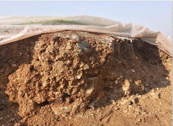 “廢料”變“肥料”，蘑菇包在土壤改良中的應(yīng)用