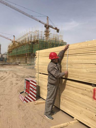 “百日會戰(zhàn)”中的銅煤建設人（七）