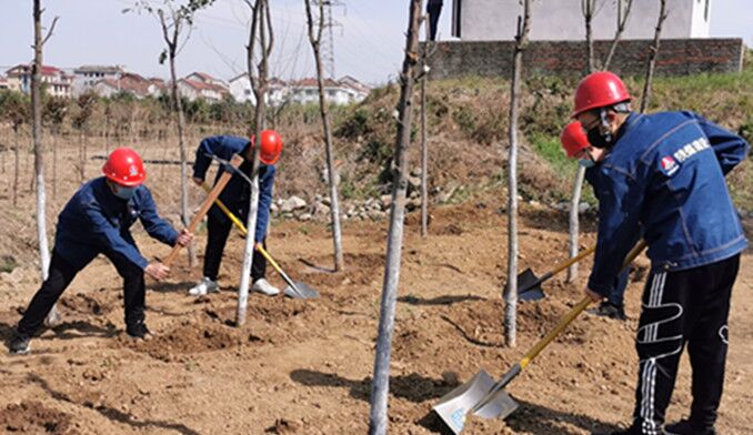 今天你植樹了嗎？