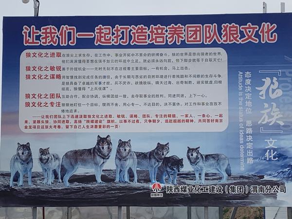 陜煤建設(shè)渭南分公司南京金龍項目部強(qiáng)堡壘 助發(fā)展