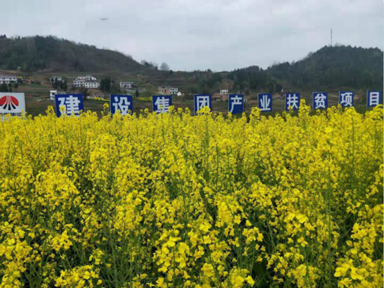 公司領(lǐng)導(dǎo)寧興剛、侯本英到扶貧定點(diǎn)幫扶村看望慰問(wèn)困難群眾