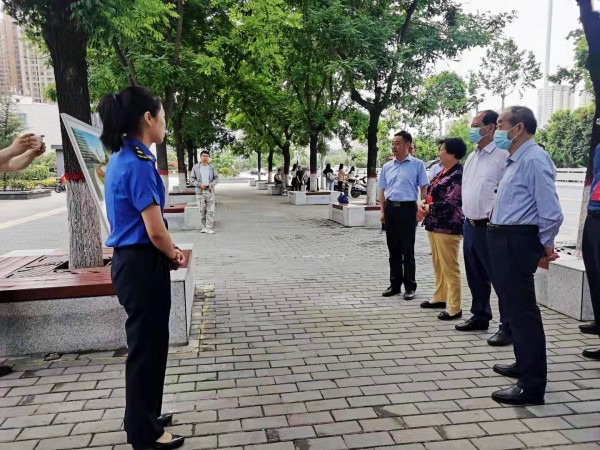 西安市碑林區(qū)人大代表深入陜煤建設(shè)澄合分公司承建的背街小巷提升改造項目進(jìn)行考察