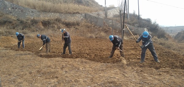 陜煤建設(shè)洗選煤運營公司左權(quán)洗煤廠項目部：春耕“小菜園”，播種幸福感