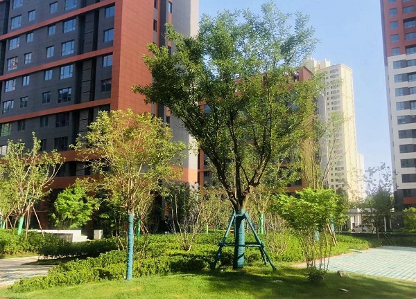 陜煤建設(shè)綠宇公司：藍山水岸項目收尾顯擔(dān)當  大干快干展新顏