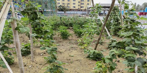 陜煤建設(shè)內(nèi)蒙古分公司第二項(xiàng)目部：一分耕耘“三分”收獲