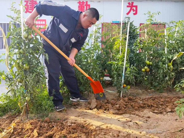 陜煤建設(shè)洗選煤運(yùn)營公司第七項目部：開墾“試驗(yàn)田” 扎根大荒漠