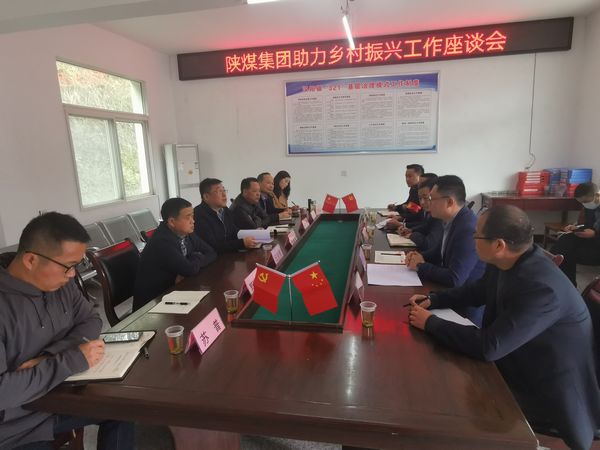 陜煤集團(tuán)助力鄉(xiāng)村振興辦主任徐國(guó)強(qiáng)蒞臨陜煤建設(shè)集團(tuán)定點(diǎn)幫扶村調(diào)研指導(dǎo)工作