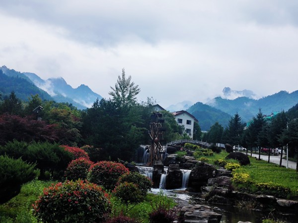在木王山，遇見21℃的夏天