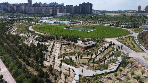 璀璨燈光扮靚城市 運(yùn)動(dòng)公園夜景美如畫