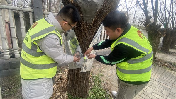 陜煤建設(shè)路橋分公司渭南項(xiàng)目部開展“綠色修復(fù)，生態(tài)共贏”別樣植樹節(jié)活動(dòng)