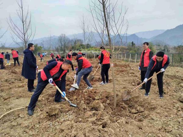 陜煤建設(shè)駐村工作隊(duì)參加春季義務(wù)植樹活動(dòng)