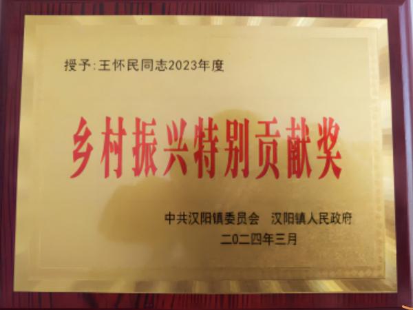 陜煤建設(shè)駐村工作隊(duì)獲得漢陰縣漢陽鎮(zhèn)“鄉(xiāng)村振興特別貢獻(xiàn)獎(jiǎng)”