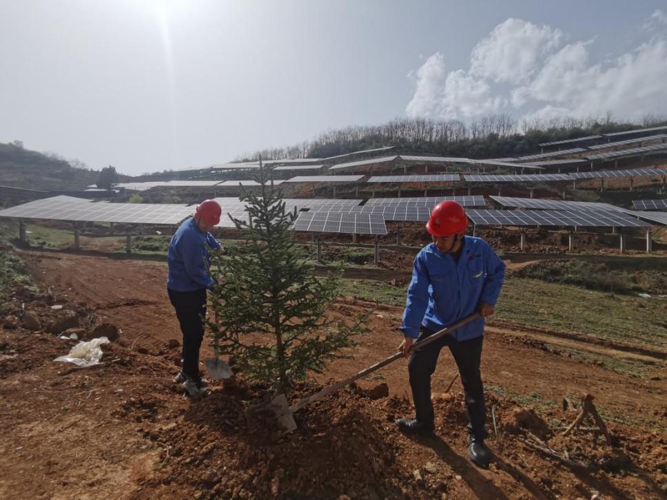 陜煤建設(shè)西北分公司機(jī)電安裝項目部： 全員參與，共筑綠色屏障