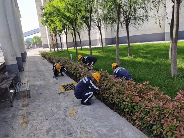 陜煤建設(shè)洗選煤運營公司神渭蒲城運營項目部：逐”綠”而行 向”綠”而興！廠區(qū)綠化在行動