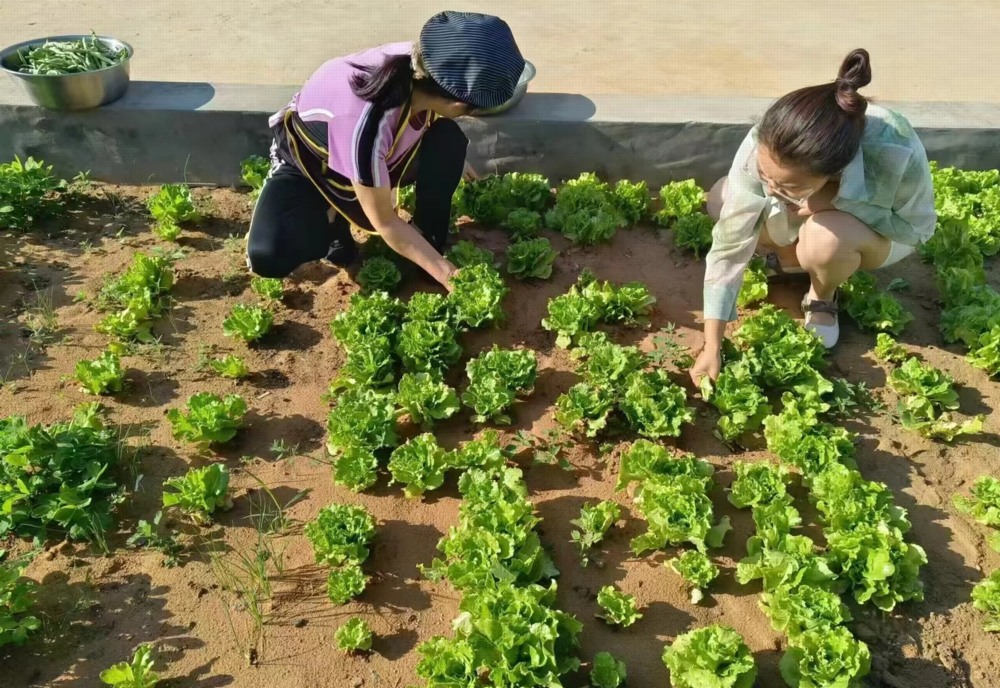 陜煤建設(shè)礦建三公司：項目菜園子“種”出職工幸福感