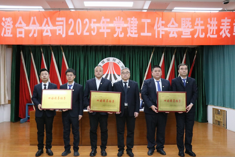 陜煤建設(shè)澄合分公司召開(kāi)2025年黨建工作會(huì)暨先進(jìn)表彰會(huì)