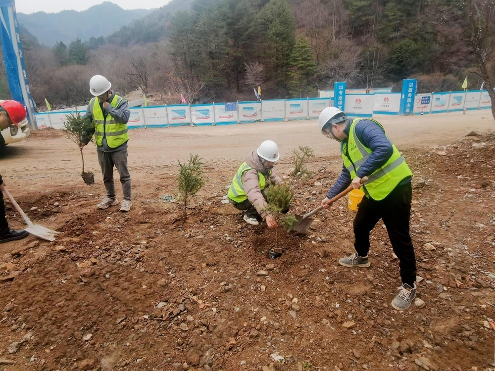 “植”此青綠，陜煤建設(shè)路橋分公司春風(fēng)十里添新林