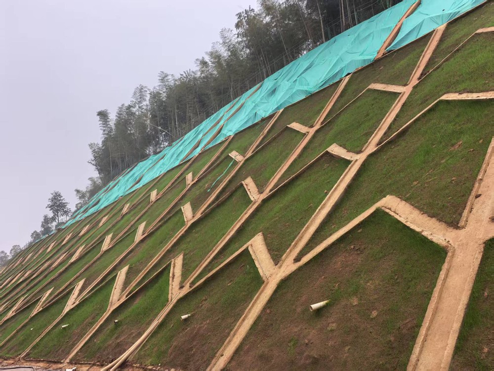 陜煤建設(shè)西北分公司：邊坡披綠衣，防護顯匠心