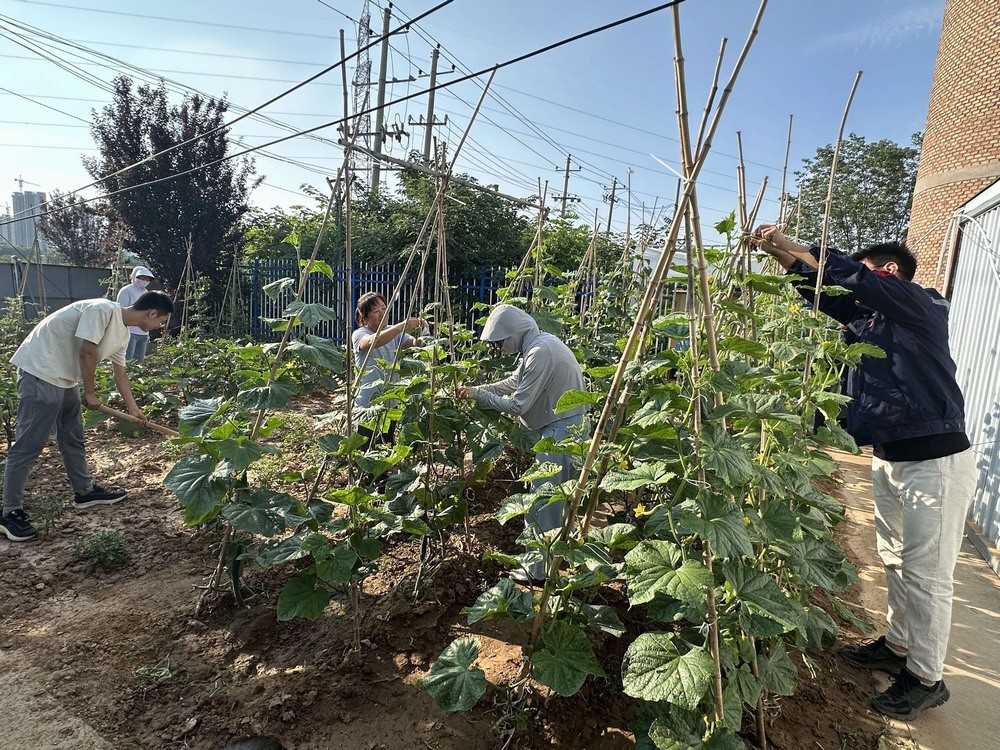 方寸菜園間，鐫刻奮斗與溫情