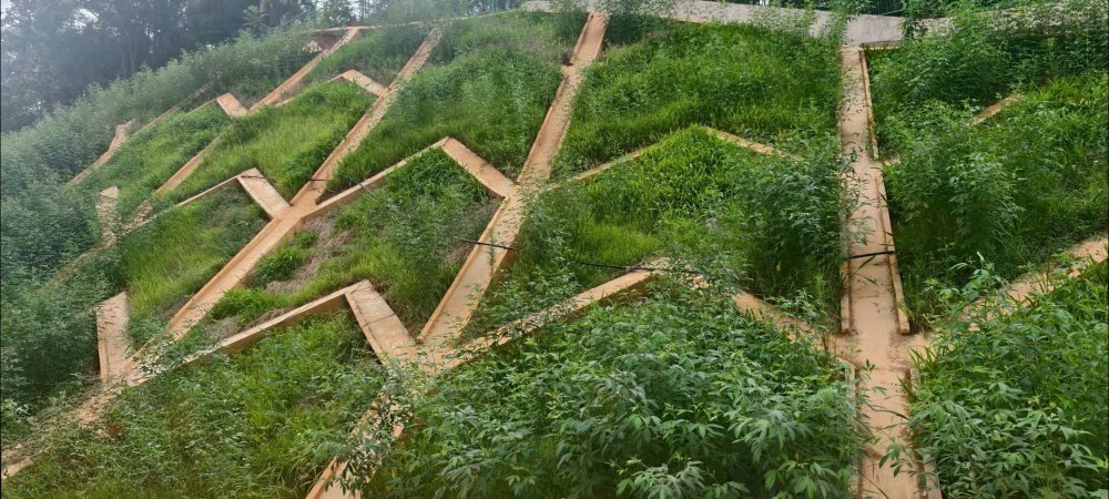 陜煤建設(shè)西北分公司：長安益陽發(fā)電有限公司2×100萬千瓦擴能升級改造項目 高邊坡支護工程順利通過竣工驗收