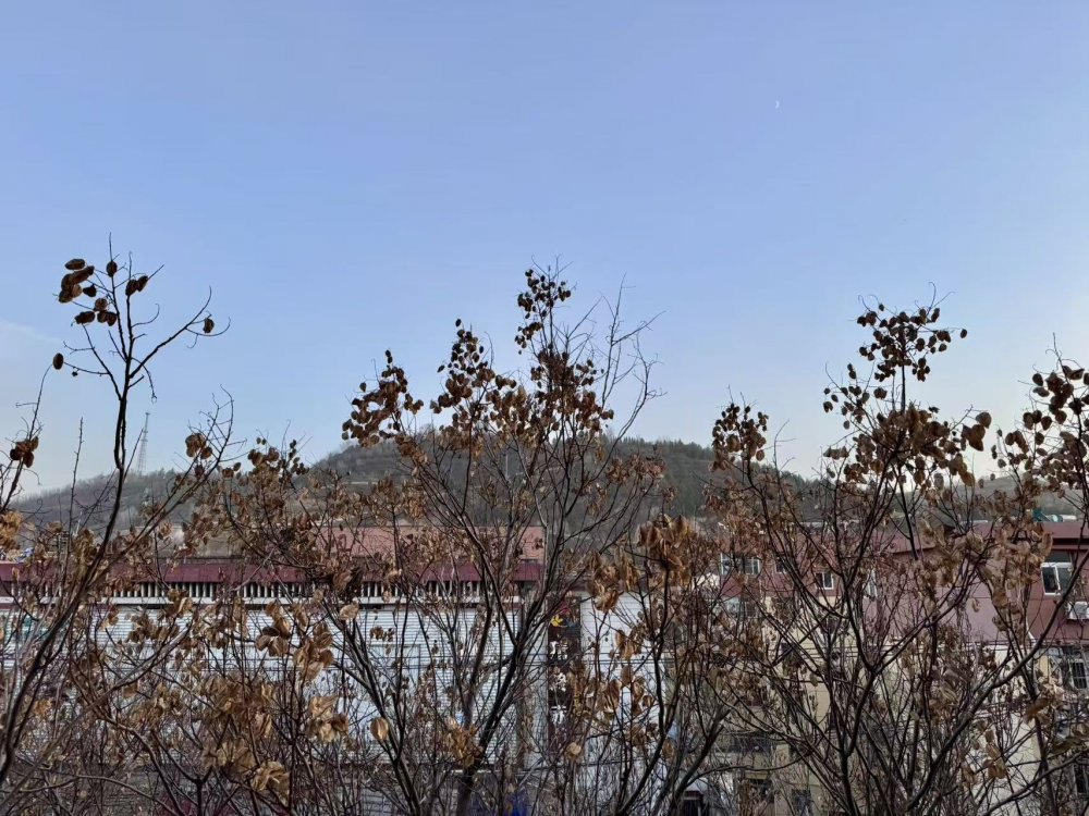 秋意漸濃時(shí)，回望來(lái)時(shí)路