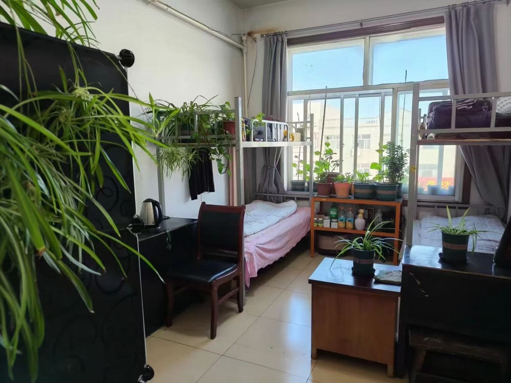 陜煤建設(shè)洗選煤運營公司檸條塔運營項目部黨支部：黨建領(lǐng)航強根基 廉潔鑄魂促發(fā)展