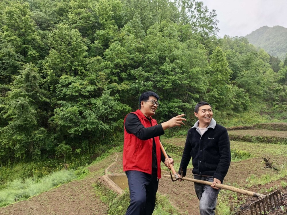 雨生百谷，情滿山村